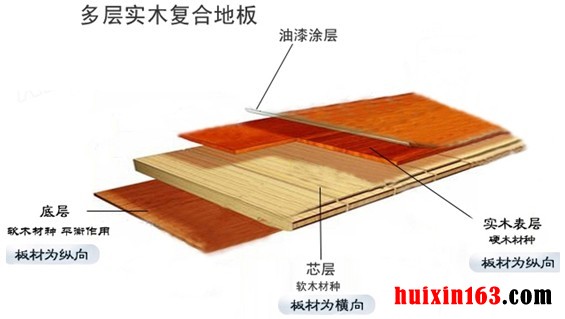 11             实木复合地板解剖图