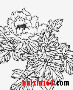 4 白描工笔手绘墙画